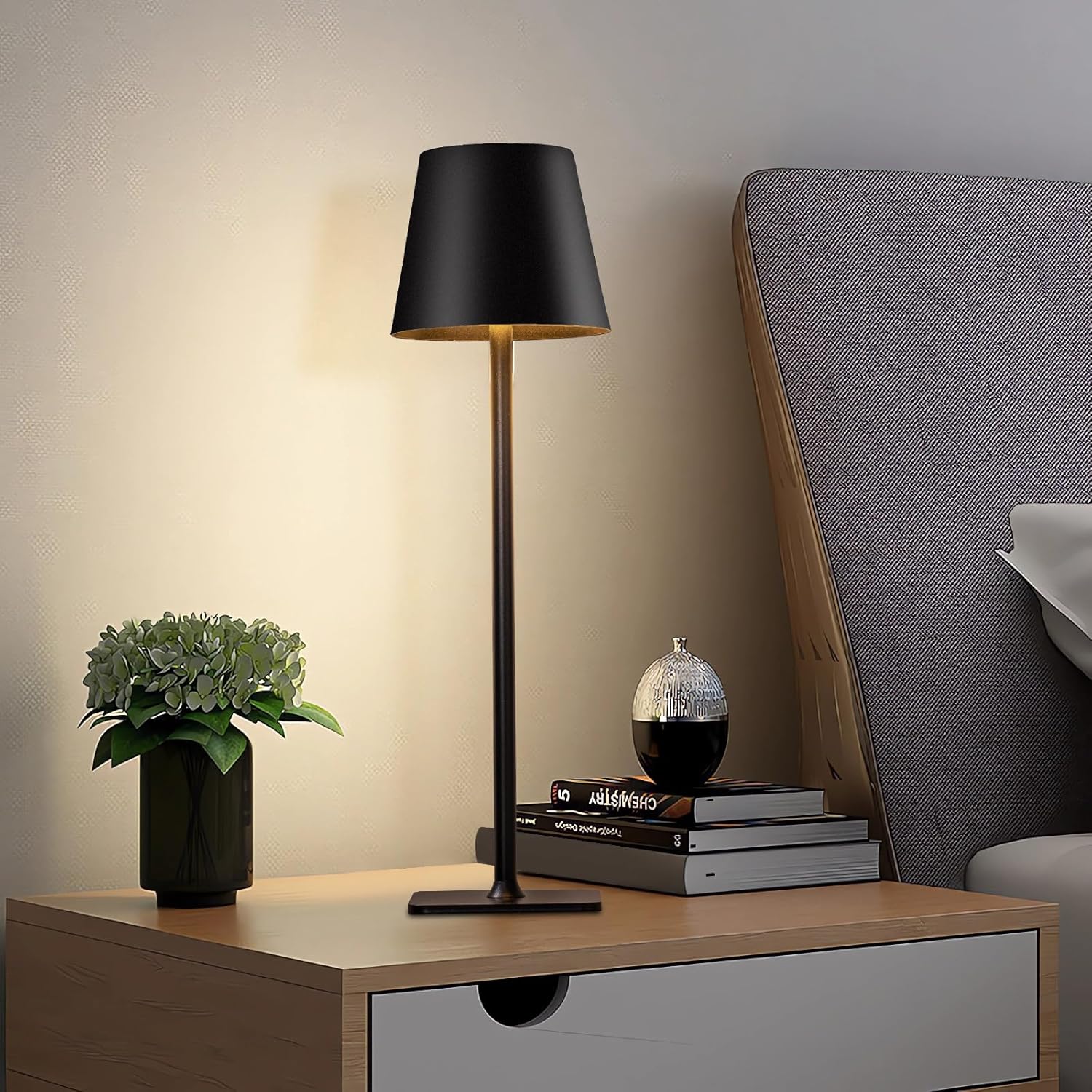 Rechargeable LED Desk
